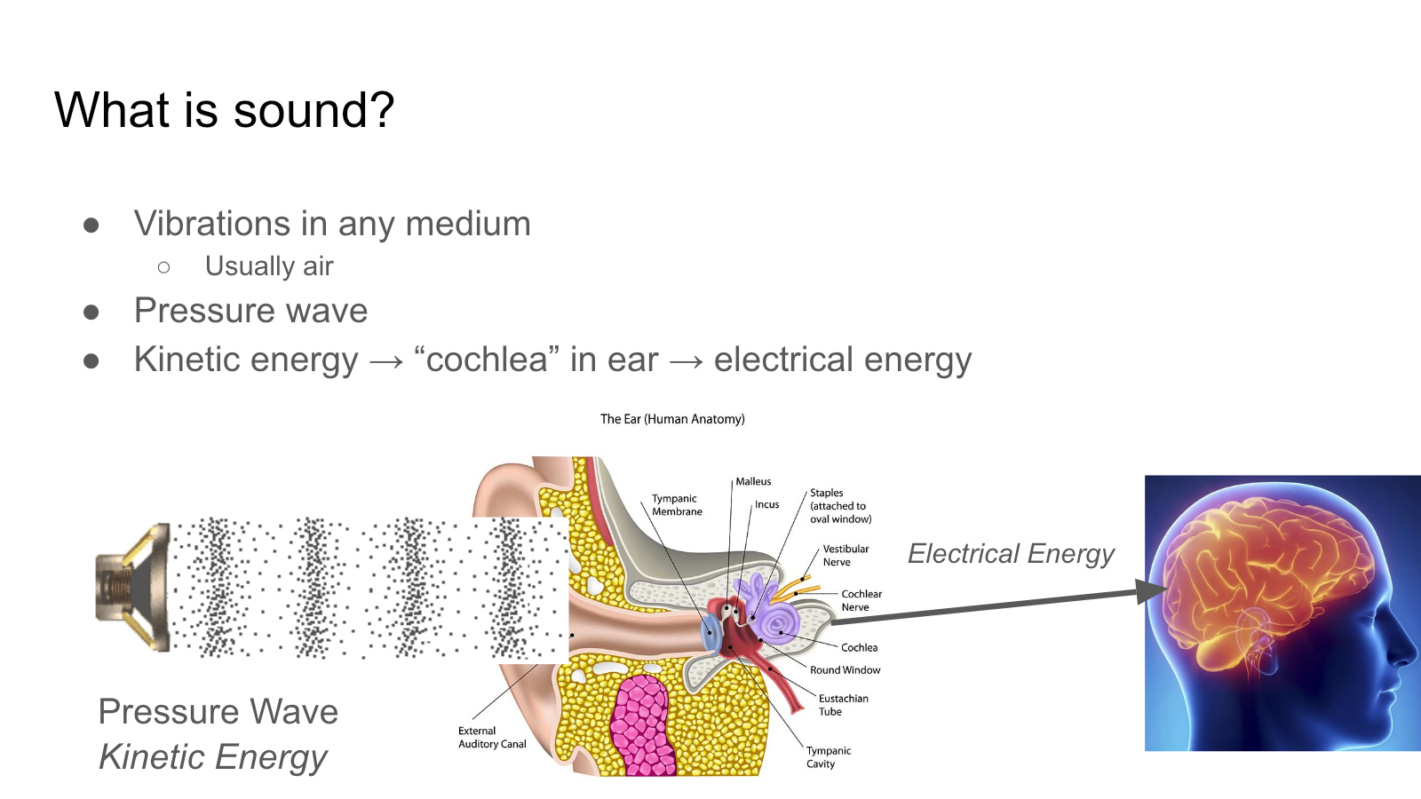Slide 8